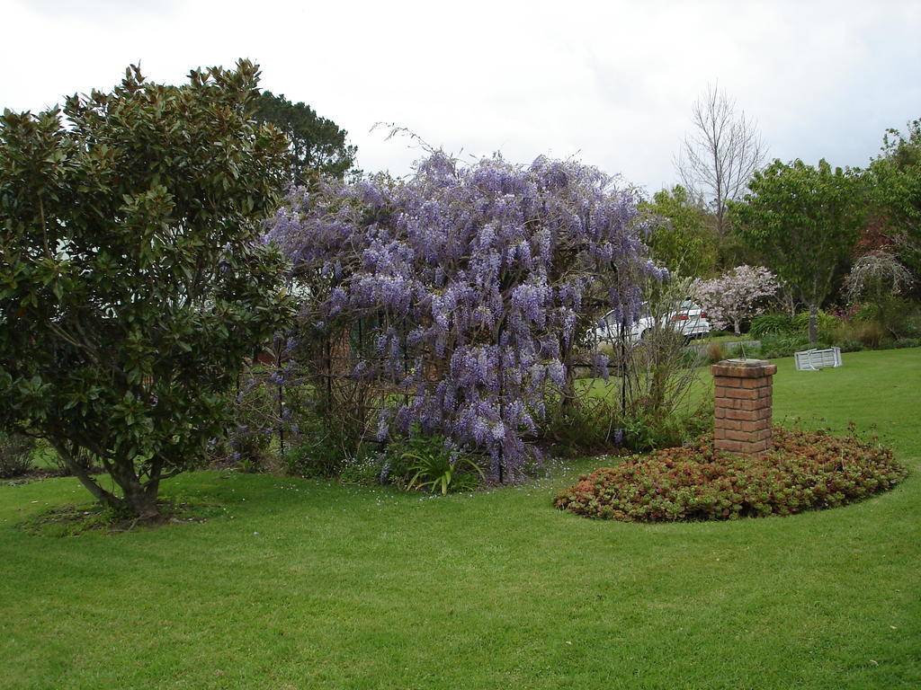 Warkworth Country House Eksteriør billede